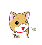 Shiba Inu_Q（個別スタンプ：33）