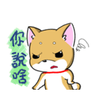 Shiba Inu_Q（個別スタンプ：35）