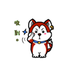 Dog wearing earrings（個別スタンプ：2）