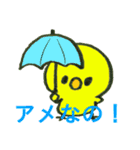 使いずらいPiyokoさんの超直球スタンプ！（個別スタンプ：33）