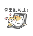 Ameow-network terms（個別スタンプ：5）