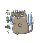 Ameow-network terms（個別スタンプ：27）