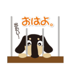 ダックス『あじゅまる』！vol.1（個別スタンプ：2）