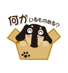 ダックス『あじゅまる』！vol.1（個別スタンプ：15）