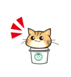 カフェ猫 by 缶猫（個別スタンプ：1）
