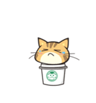 カフェ猫 by 缶猫（個別スタンプ：15）