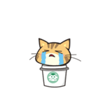 カフェ猫 by 缶猫（個別スタンプ：16）