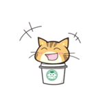 カフェ猫 by 缶猫（個別スタンプ：24）