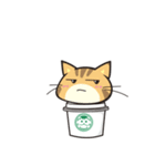 カフェ猫 by 缶猫（個別スタンプ：34）
