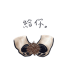Ta-ta！（個別スタンプ：17）