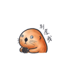 Ta-ta！（個別スタンプ：36）