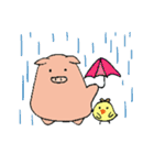 PiggyChick（個別スタンプ：20）