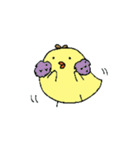 PiggyChick（個別スタンプ：22）