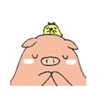 PiggyChick（個別スタンプ：24）