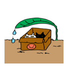 猫兄弟の遊び（個別スタンプ：5）