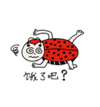 LadyBird Chat（個別スタンプ：34）