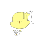 日常茶飯事！ぴよこ！（個別スタンプ：13）
