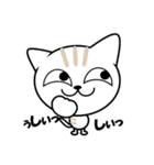 ねこ・ネコ・にゃんこ（個別スタンプ：37）