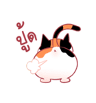 SUMO a chubby cat（個別スタンプ：2）