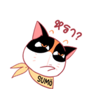 SUMO a chubby cat（個別スタンプ：7）