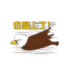 Cliinf Eagle--office（個別スタンプ：15）