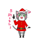 Hiroshima Cat 7 冬（個別スタンプ：12）
