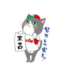 Hiroshima Cat 7 冬（個別スタンプ：27）