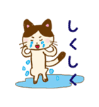 青のねこちゃん！（個別スタンプ：12）