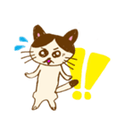 青のねこちゃん！（個別スタンプ：20）