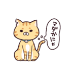 茶トラねこのあきらくん（個別スタンプ：15）