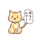 茶トラねこのあきらくん（個別スタンプ：16）