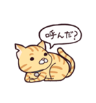 茶トラねこのあきらくん（個別スタンプ：31）