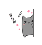 ゆるっとみあねこ（個別スタンプ：40）