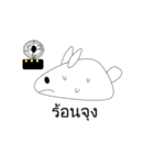 Shirokun Little White Rabbit（個別スタンプ：19）
