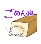 猫パン屋（個別スタンプ：30）