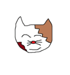 猫「みゃお～。」（個別スタンプ：14）