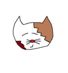 猫「みゃお～。」（個別スタンプ：20）