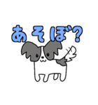 かまってほしい白黒の犬（個別スタンプ：1）