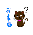 cat enthusiast 's funny  strange life（個別スタンプ：8）