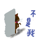cat enthusiast 's funny  strange life（個別スタンプ：18）