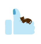 cat enthusiast 's funny  strange life（個別スタンプ：34）