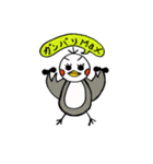 ちゃびさん（個別スタンプ：28）