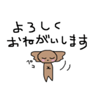 敬語トイプードル（個別スタンプ：8）