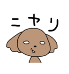 敬語トイプードル（個別スタンプ：33）