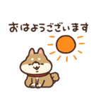 かわいい柴犬 まろ（個別スタンプ：11）