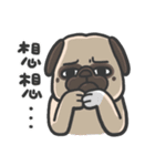 Nini＆Pug（個別スタンプ：37）