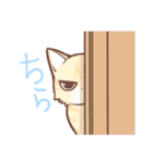 うちの猫たち（個別スタンプ：11）