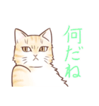 うちの猫たち（個別スタンプ：13）