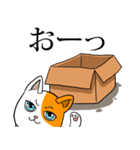 箱猫 ソルモン（個別スタンプ：1）