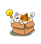 箱猫 ソルモン（個別スタンプ：14）